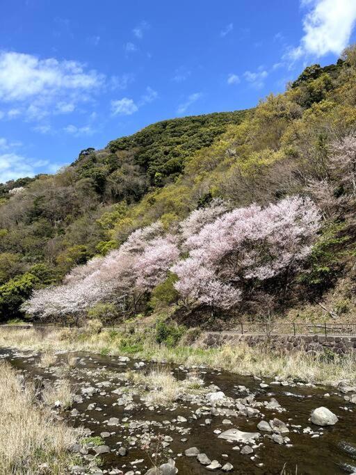 沼津戸田湾の古民家一軒貸切宿 釣り ハイキング 海水浴 ツーリングにおすすめ Zewnętrze zdjęcie